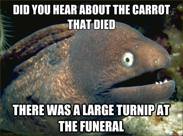 Did you hear about the carrot that died There was a large turnip at the funeral  Bad Joke Eel