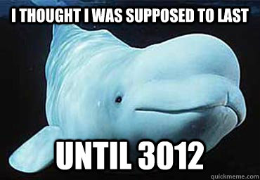 I thought I was supposed to last  until 3012 - I thought I was supposed to last  until 3012  Misbehavin Pocket Whale