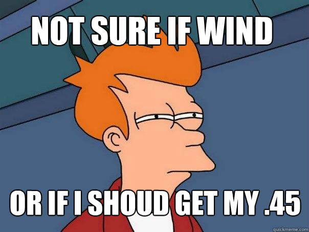 not sure if wind or if i shoud get my .45  Futurama Fry