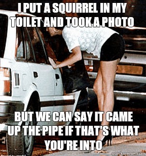 I put a squirrel in my toilet and took a photo But we can say it cAME up the pipe if that's what you're into  Karma Whore