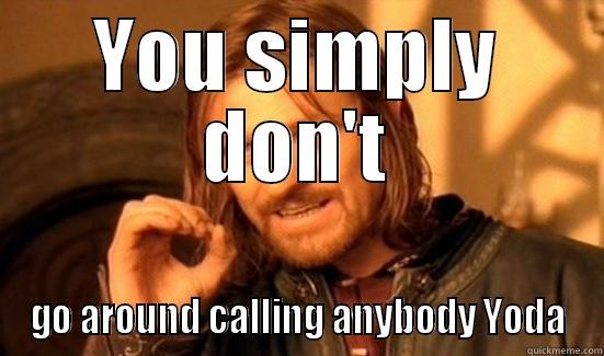 YOU SIMPLY DON'T GO AROUND CALLING ANYBODY YODA Boromir