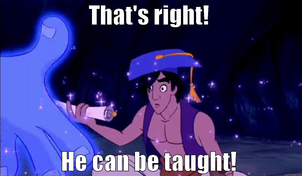 Aladdin can be taught! - THAT'S RIGHT! HE CAN BE TAUGHT! Misc