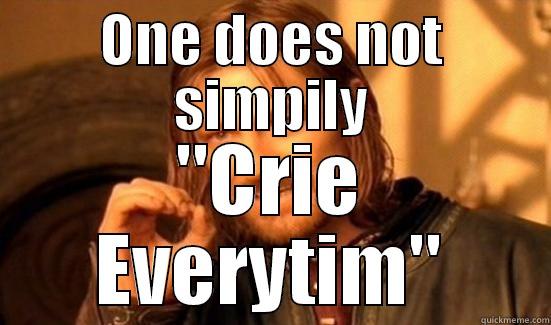 ONE DOES NOT SIMPILY 