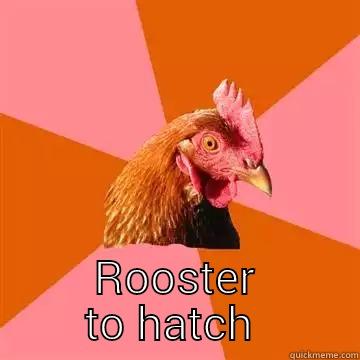  ROOSTER TO HATCH  Anti-Joke Chicken