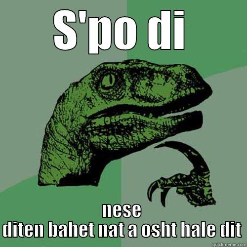 S'PO DI NESE DITEN BAHET NAT A OSHT HALE DIT Philosoraptor