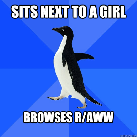 sits next to a girl  Browses r/aww   Socially Awkward Penguin