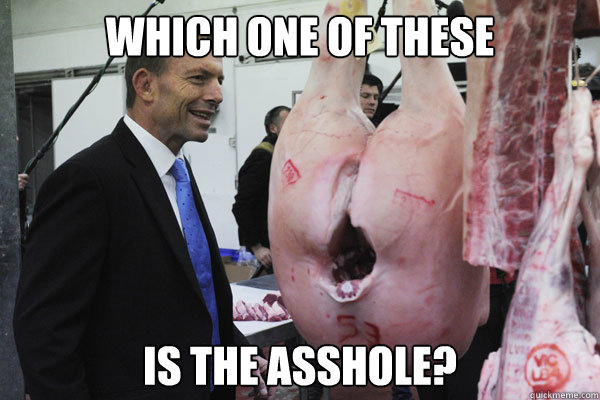 [Image: 923d1034e286824332f88ba5b0410f12a493c008...0bc14b.jpg]