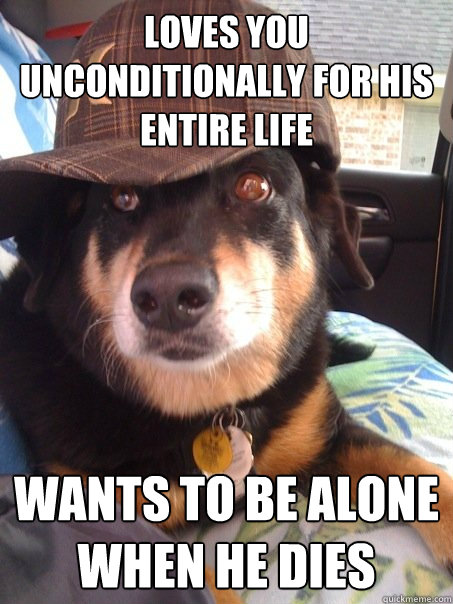 loves you unconditionally for his entire life wants to be alone when he dies  Scumbag dog