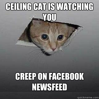 Ceiling Cat is watching you  creep on Facebook Newsfeed  Ceiling Cat