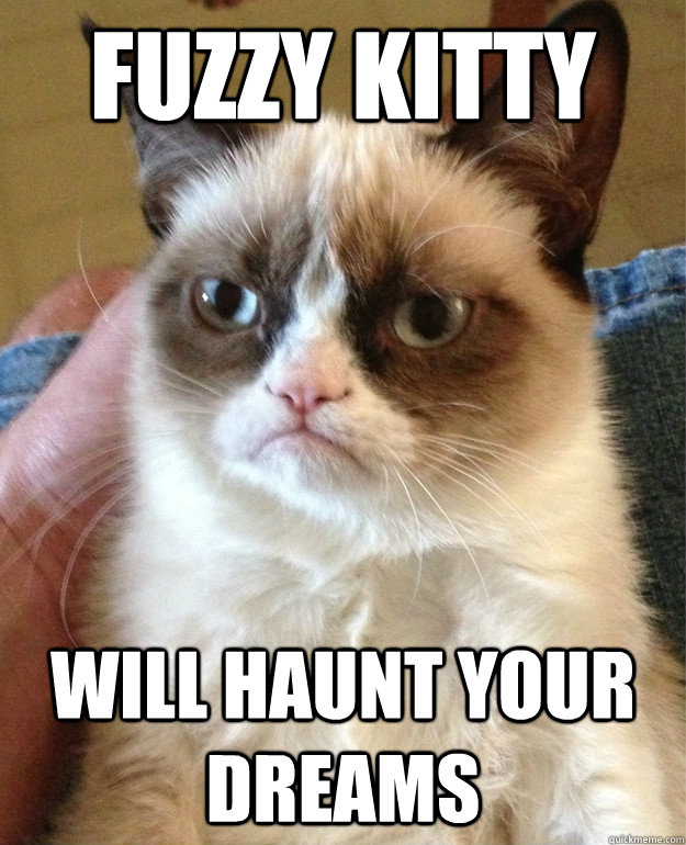 Fuzzy Kitty Will haunt your dreams  Grumpy Cat
