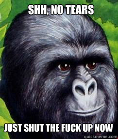 Shh, no tears just shut the fuck up now  gorilla munch