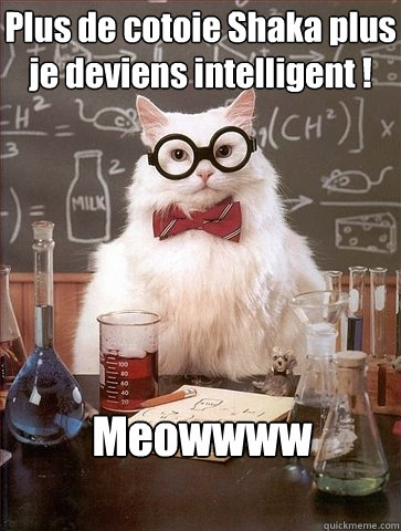 Plus de cotoie Shaka plus je deviens intelligent ! Meowwww  Chemistry Cat