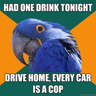 Had one drink tonight drive home, every car is a cop  Paranoid Parrot