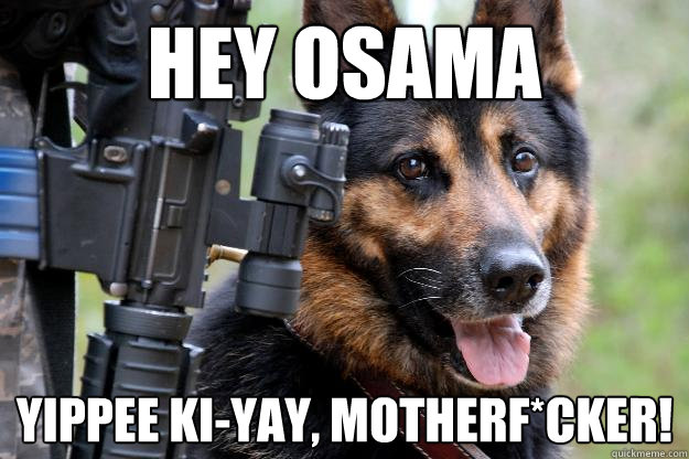 Hey Osama Yippee ki-yay, motherf*cker!   War Dog