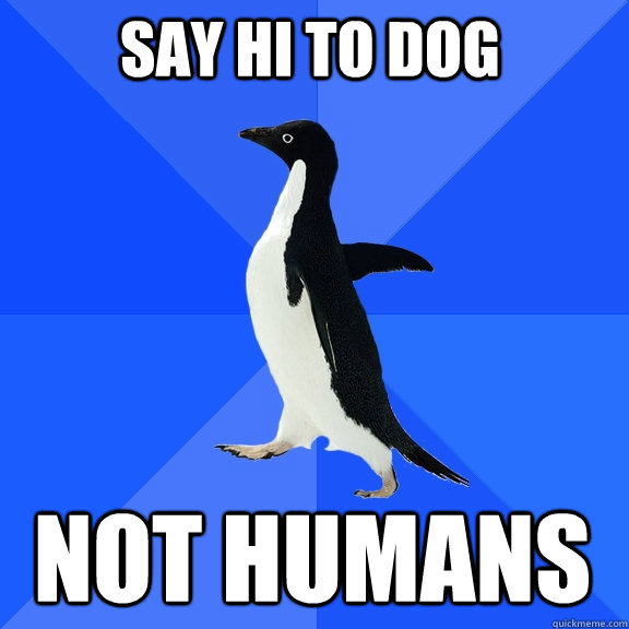 say hi to dog not humans  Socially Awkward Penguin