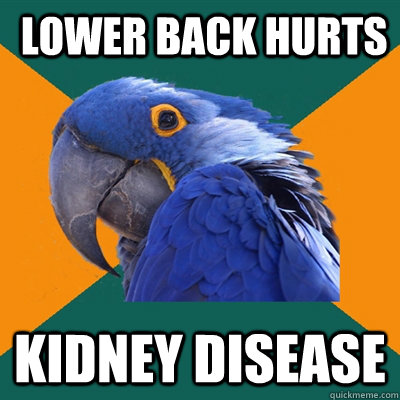  Lower Back Hurts Kidney Disease  Paranoid Parrot