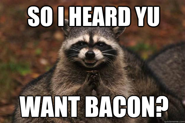 so i heard yu want bacon?  Evil Plotting Raccoon