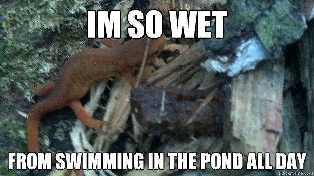Im so wet from swimming in the pond all day  Sexually Misleading Salamander