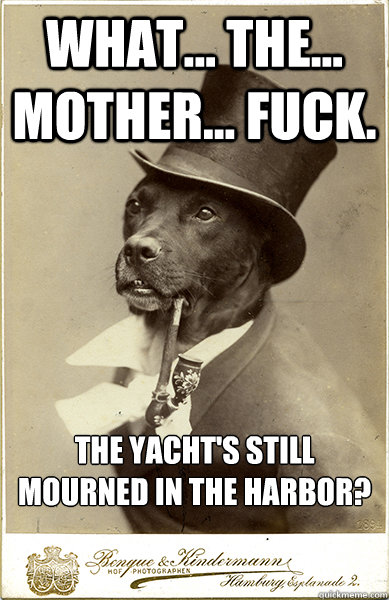 What... The... Mother... fuck. The yacht's still mourned in the harbor? - What... The... Mother... fuck. The yacht's still mourned in the harbor?  Old Money Dog