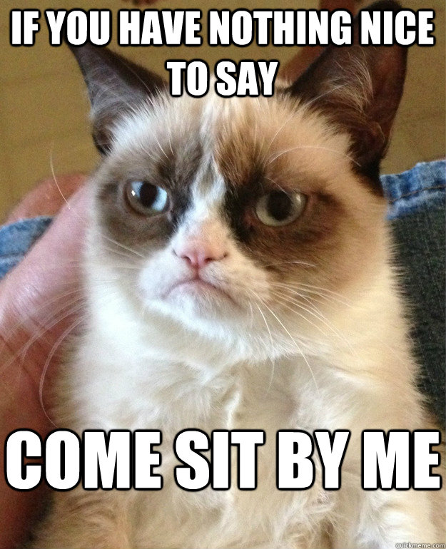 If you have nothing nice to say come sit by me  Grumpy Cat