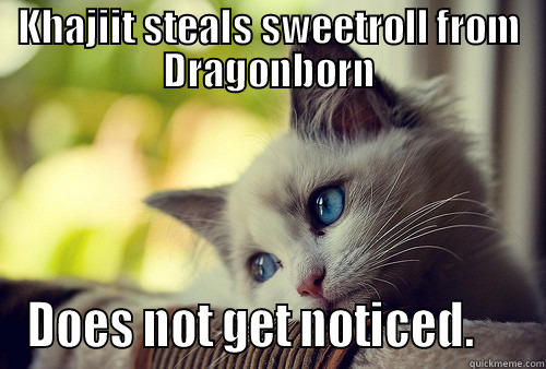 KHAJIIT STEALS SWEETROLL FROM DRAGONBORN DOES NOT GET NOTICED.     First World Problems Cat