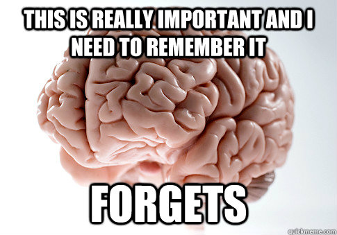 this is really important and i need to remember it forgets  Scumbag Brain