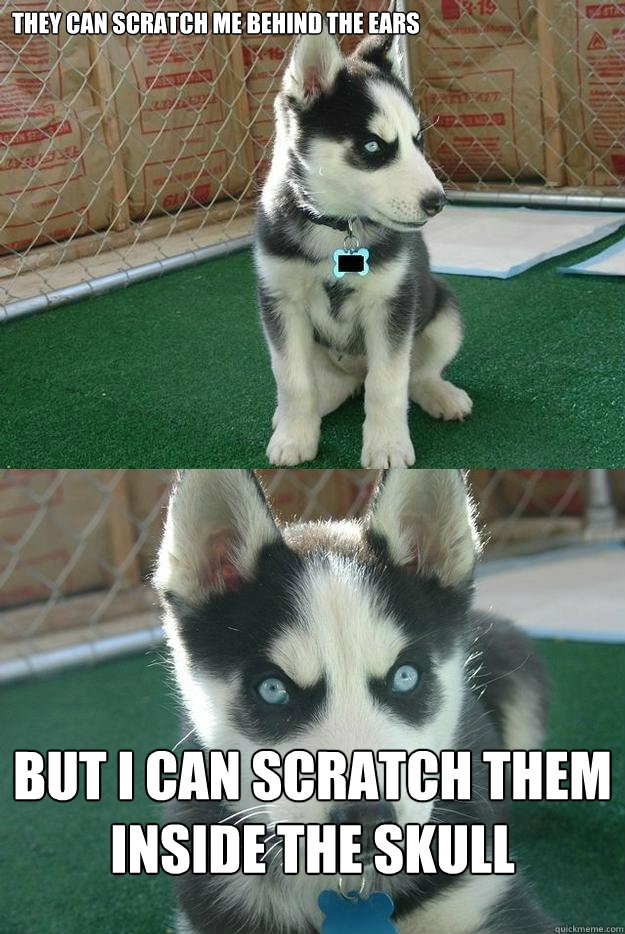 They can scratch me behind the ears but I can scratch them inside the skull  Insanity puppy