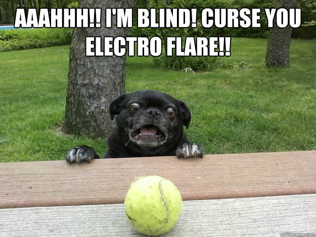 AAAHHH!! I'm Blind! CURSE YOU 
Electro Flare!!   Berks Dog