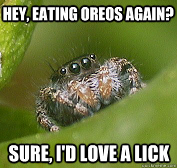 hey, eating oreos again? sure, i'd love a lick  Misunderstood Spider