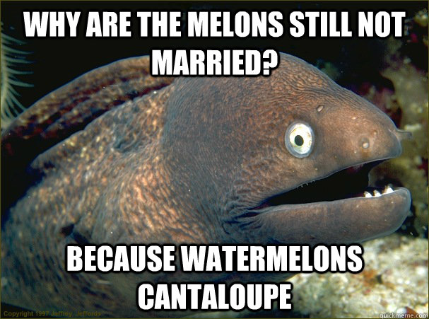 Why are the Melons still not married? Because watermelons cantaloupe  Bad Joke Eel