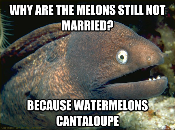 Why are the Melons still not married? Because watermelons cantaloupe - Why are the Melons still not married? Because watermelons cantaloupe  Bad Joke Eel