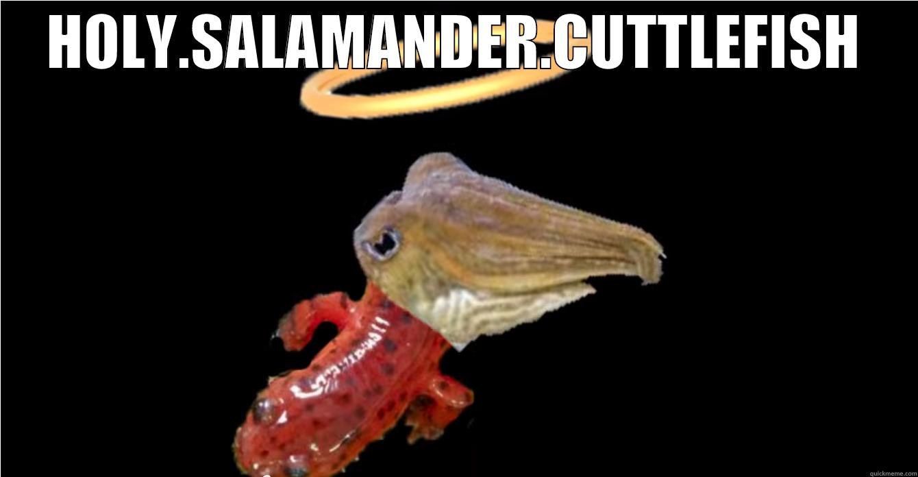 Holy Salamander Cuttlefish   - HOLY.SALAMANDER.CUTTLEFISH  Misc