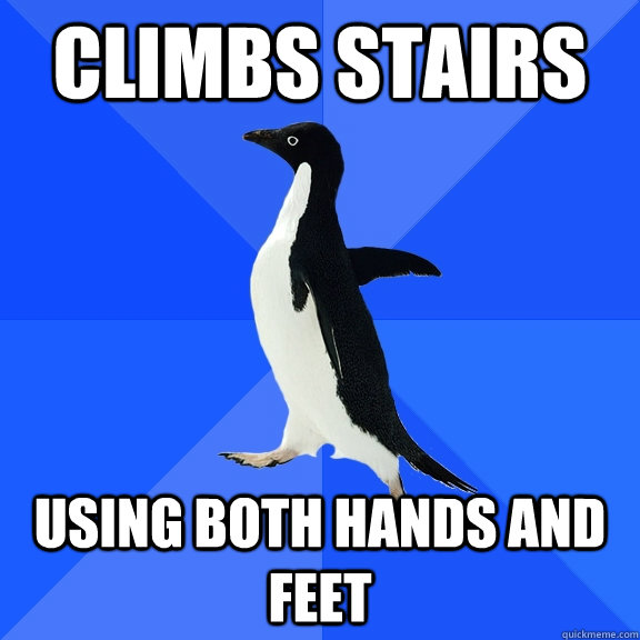 Climbs stairs Using both hands and feet  Socially Awkward Penguin