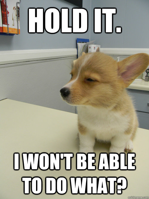 Hold it. I won't be able to do what?  