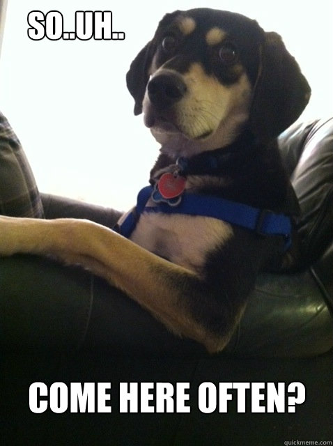 So..uh.. Come here often? - So..uh.. Come here often?  Dog awkward pick up line
