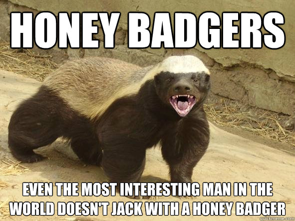 Honey BaDgers Even the most interesting man in the world doesn't jack with a honey badger  Indifferent Honey Badger