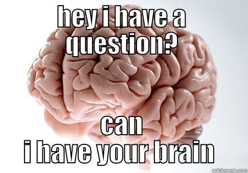 HEY I HAVE A QUESTION? CAN I HAVE YOUR BRAIN  Scumbag Brain