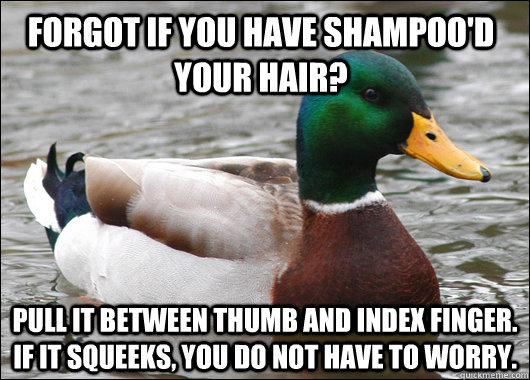 Forgot if you have shampoo'd your hair? Pull it between thumb and index finger. If it squeeks, you do not have to worry.  Actual Advice Mallard
