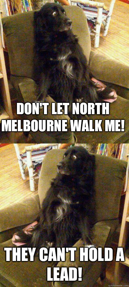 Don't let North Melbourne walk me! They can't hold a lead! - Don't let North Melbourne walk me! They can't hold a lead!  Dog Scared