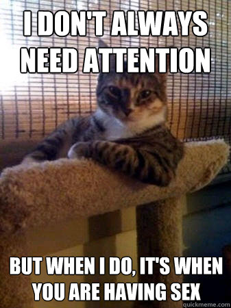 I don't always need attention but when I do, It's when you are having sex  The Most Interesting Cat in the World