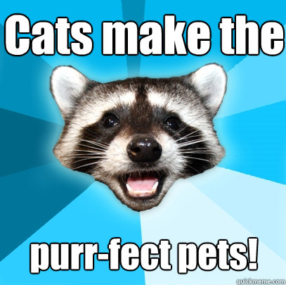 Cats make the purr-fect pets!  Lame Pun Coon