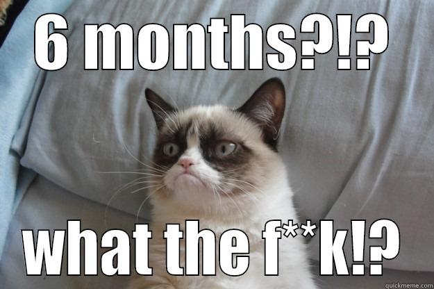 6 MONTHS?!? WHAT THE F**K!? Grumpy Cat