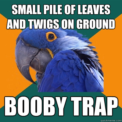 Small pile of leaves and twigs on ground booby trap  Paranoid Parrot