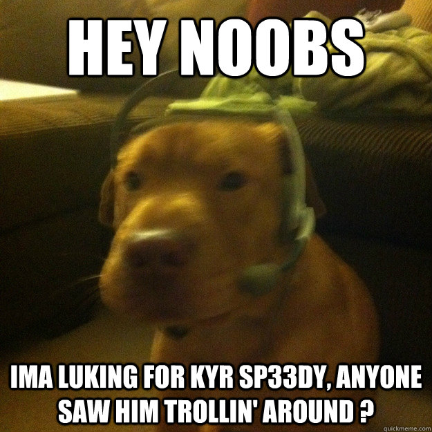 hey noobs ima luking for KYR SP33Dy, anyone  saw him trollin' around ? - hey noobs ima luking for KYR SP33Dy, anyone  saw him trollin' around ?  yes this is dog