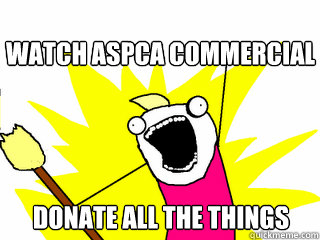 watch aspca commercial donate all the things  All The Things