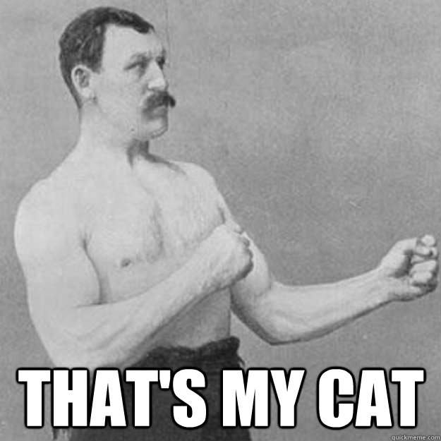  That's my cat  overly manly man