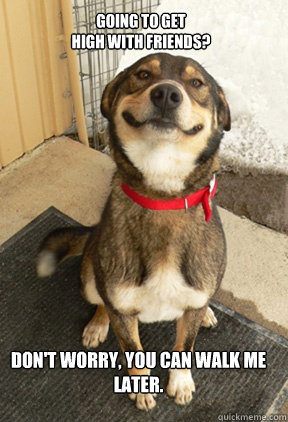 Going to get 
high with friends? Don't worry, you can walk me later. - Going to get 
high with friends? Don't worry, you can walk me later.  Good Dog Greg