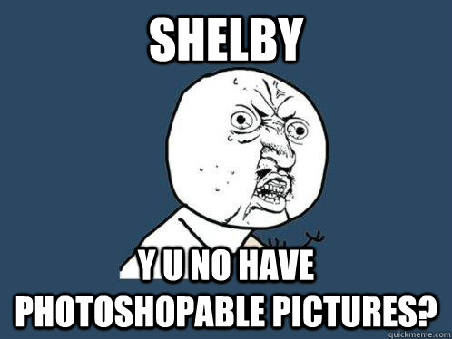 shelby y u no have photoshopable pictures? - shelby y u no have photoshopable pictures?  Y U No