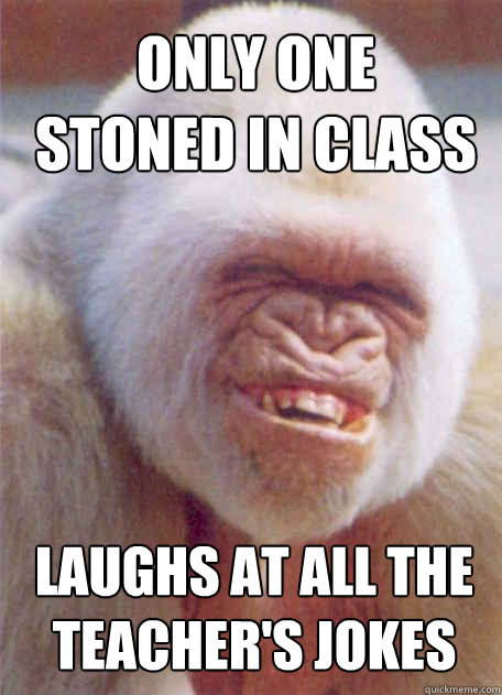 laughs at all the teacher's jokes Only one stoned in class - laughs at all the teacher's jokes Only one stoned in class  Misc