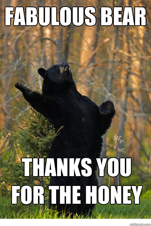 FABULOUS BEAR THANKS YOU FOR THE HONEY - FABULOUS BEAR THANKS YOU FOR THE HONEY  Fabulous Bear